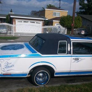 Meet your Posher, Jeanell